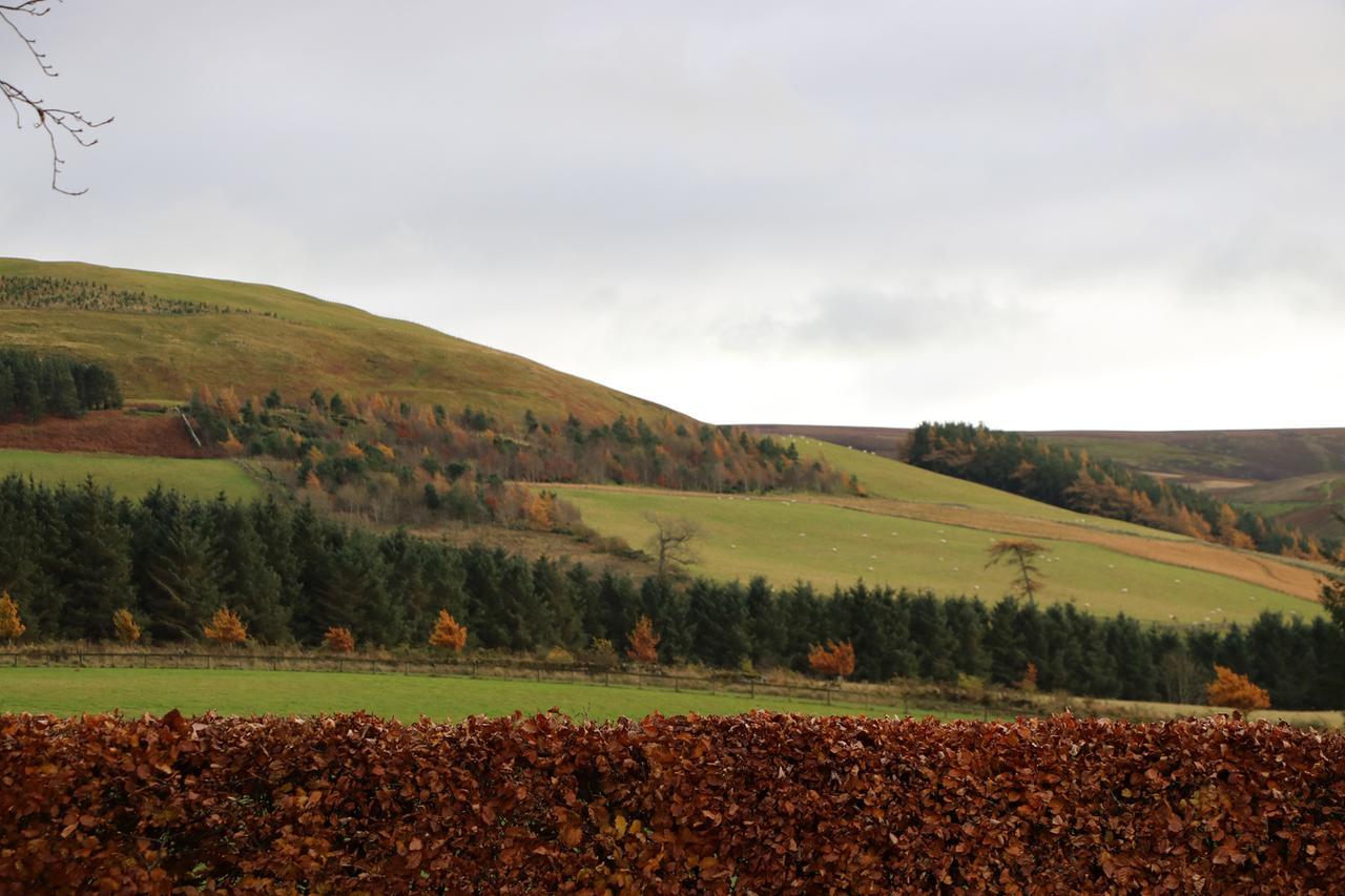 The Grieves Cottage Haddington Exteriör bild